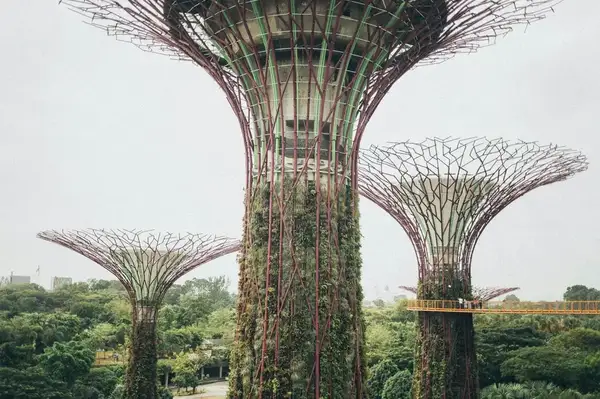 Gardens by the Bay