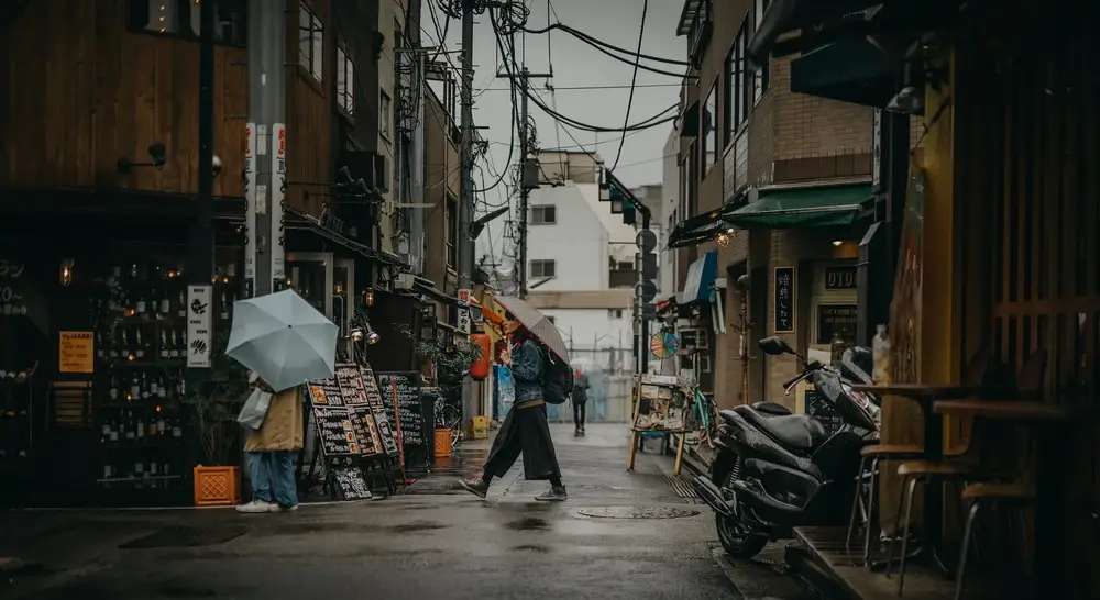 Tokyo Walking Tour