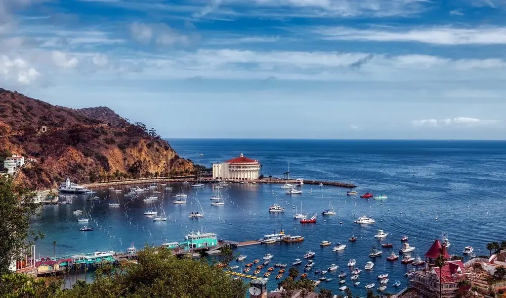 Boca Catalina Guide: Swimming with Turtles in Arub