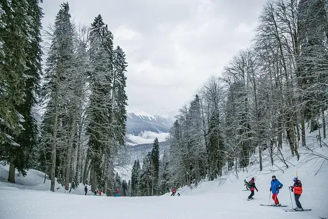Ski Resort Georgia Guide