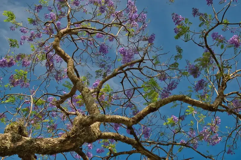Planning Trips to Costa Rica: A 7-Day Itinerary