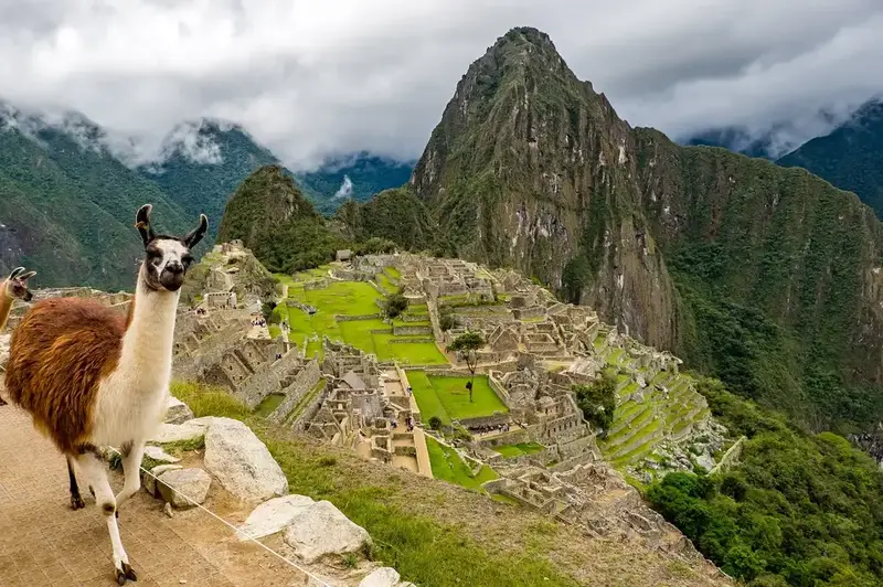 How to Plan the Perfect Trip to Machu Picchu