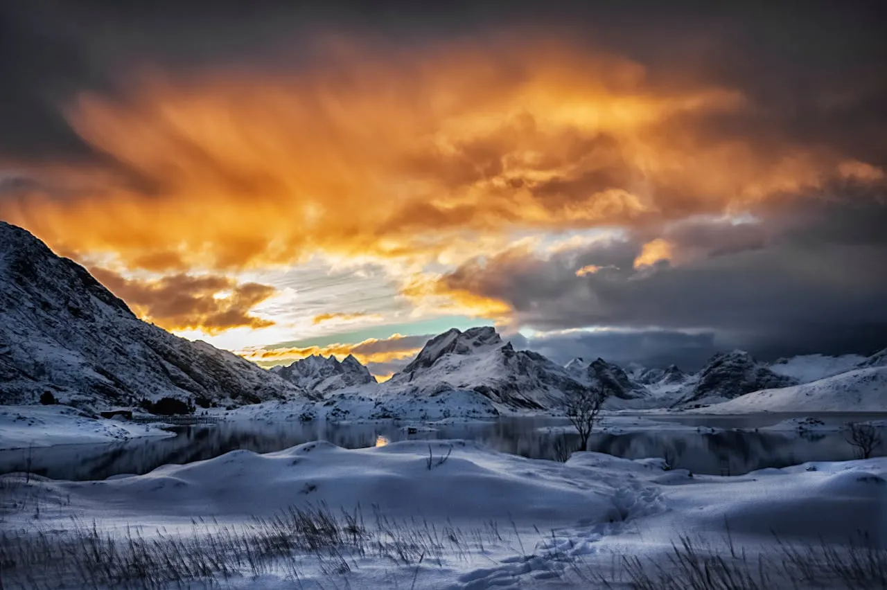 Why Alaskan Dream Cruises are the Best Way to See the Last Frontier