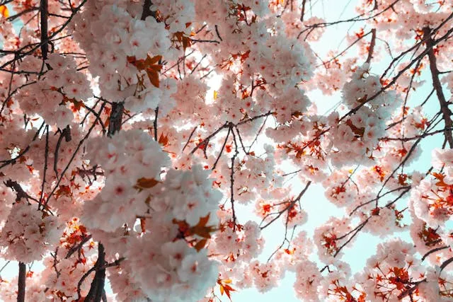 Best Places to Travel in April: Top Destinations for Every Type of Explorer - Travel Guide Image