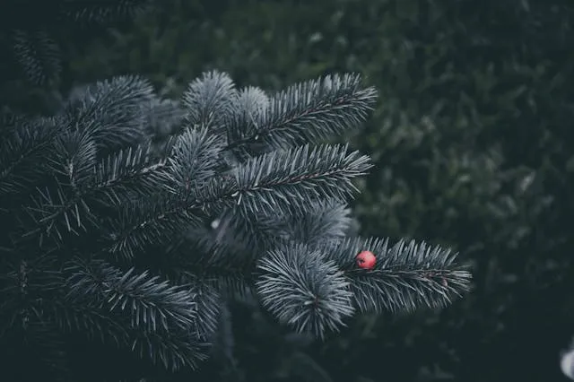 Best Places to Travel in December - Travel Guide Image