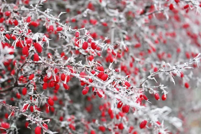 Best Places to Travel in December - Travel Guide Image