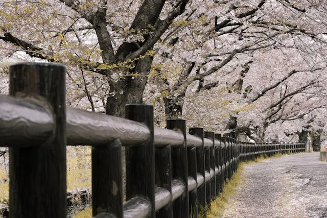 Top May Getaway Destinations: Best Places to Travel in May - Travel Guide Image