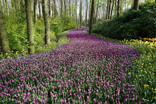Top May Getaway Destinations: Best Places to Travel in May - Travel Guide Image