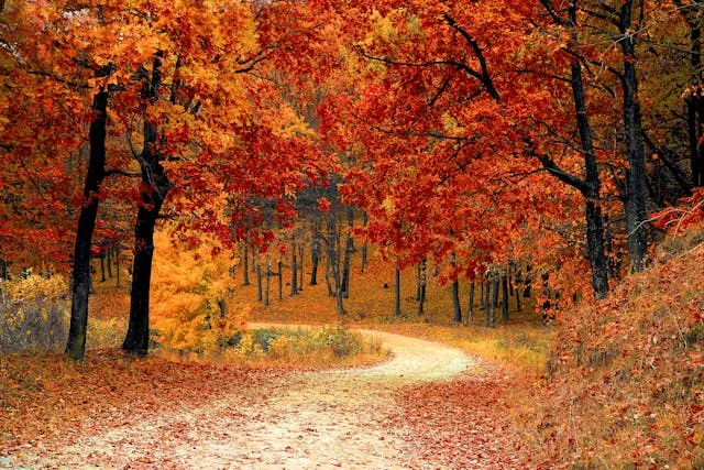 Best Places to Travel in November: Exploring Unforgettable Destinations - Travel Guide Image