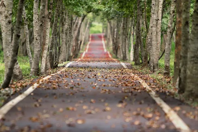 Best Places to Travel in November: Exploring Unforgettable Destinations - Travel Guide Image