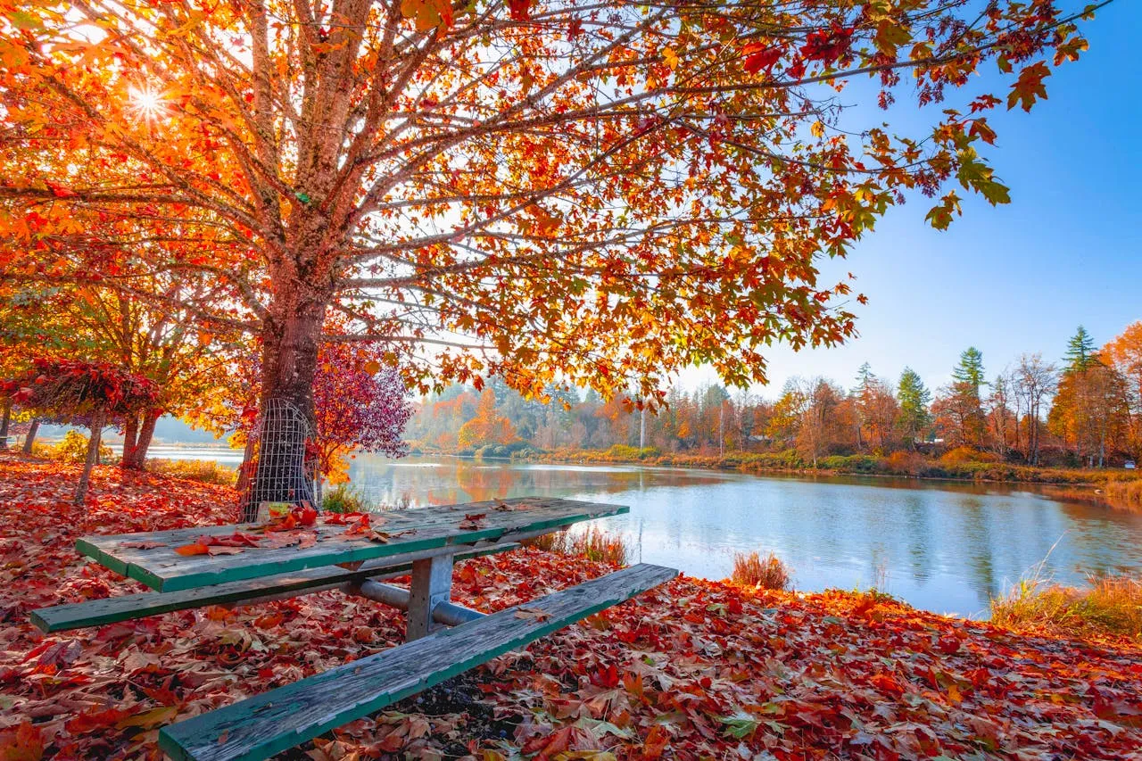 Best Places to Travel in November: Exploring Unforgettable Destinations