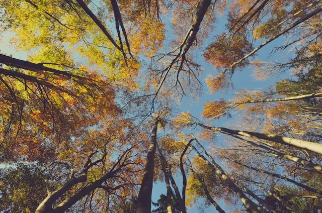 Best Places to Travel in September: Top Destinations and Experiences to Enjoy - Travel Guide Image
