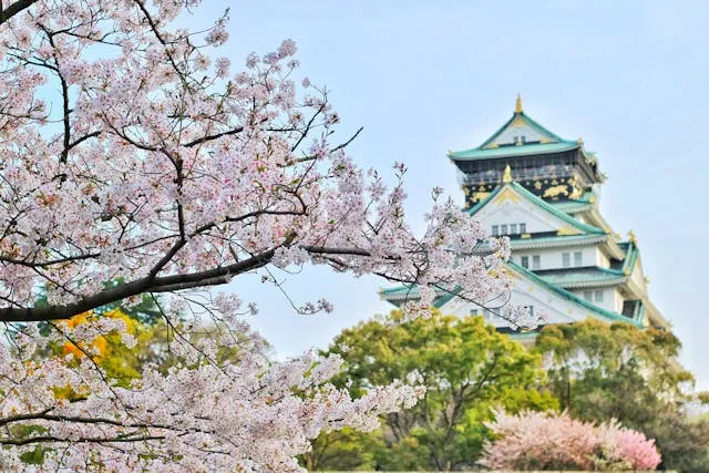 Chasing Blooms: The 12 Best Places to Visit in