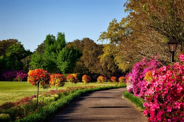 Chasing Blooms: The 12 Best Places to Visit in Spring - Travel Guide Image
