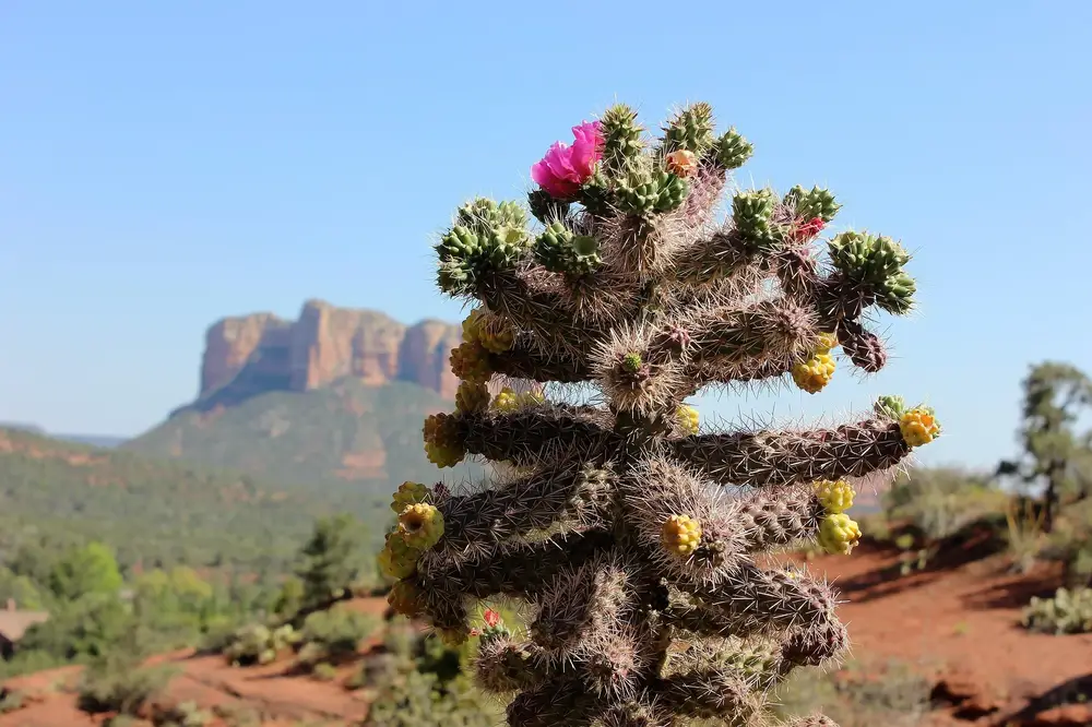 Best Hikes in Sedona: Top 10 Trails to Experience