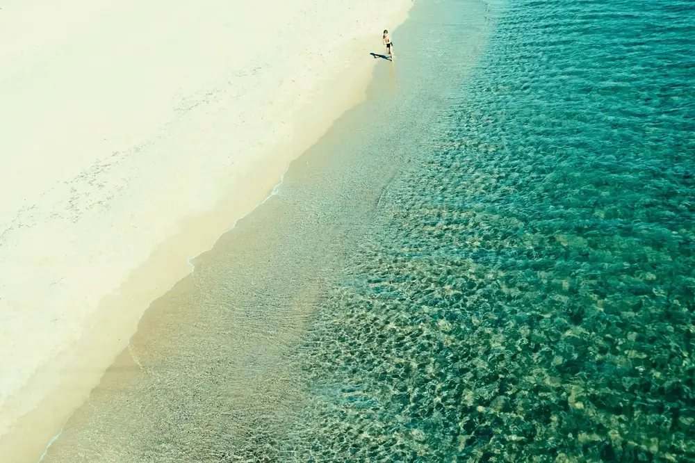 Coquina Beach Guide: Tips & Info for Your