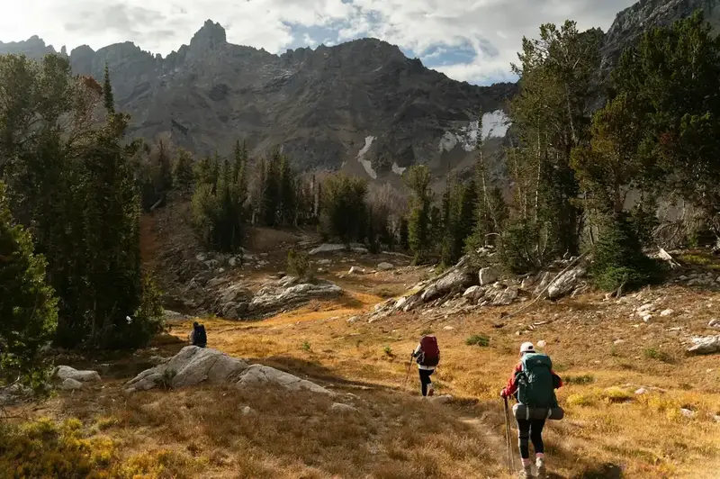 Discover East Coast National Parks: A Comprehensive Guide