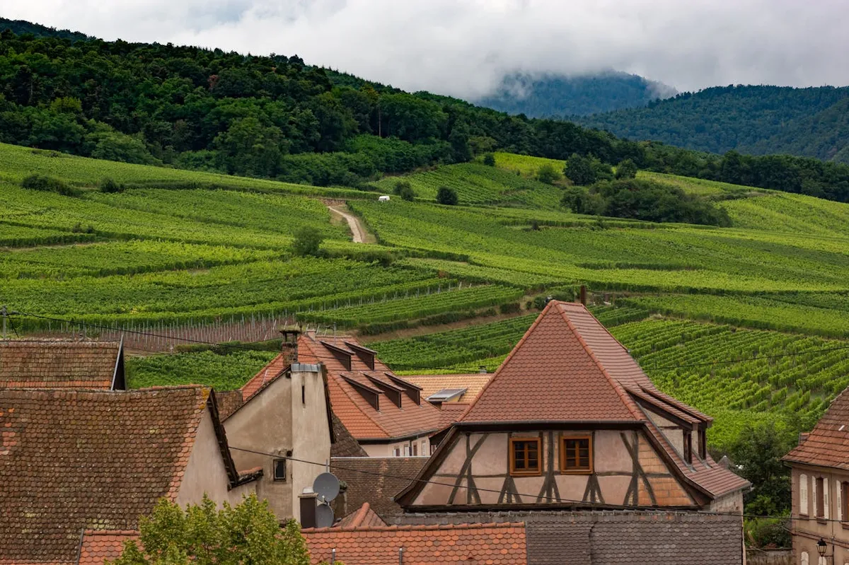 Châteaux and Cheese: A Dreamy Guide to the French Countryside