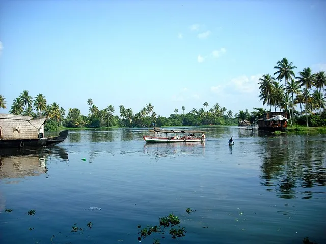 Backwaters and Spices: A Guide to the Best of Kerala South - Travel Guide Image