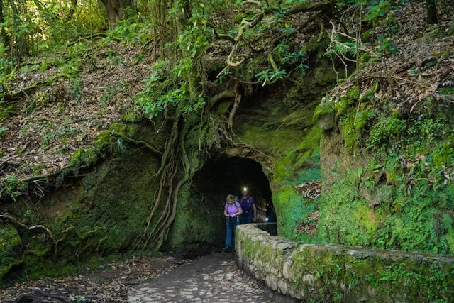 Madeira Portugal Travel Guide: The Island of Eternal Spring - Travel Guide Image