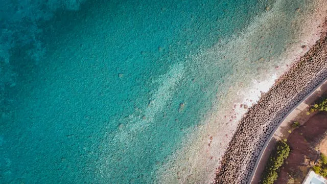 Madeira Portugal Travel Guide: The Island of Eternal Spring - Travel Guide Image