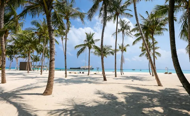 10 Mexico Beaches You Can't Miss in 2026