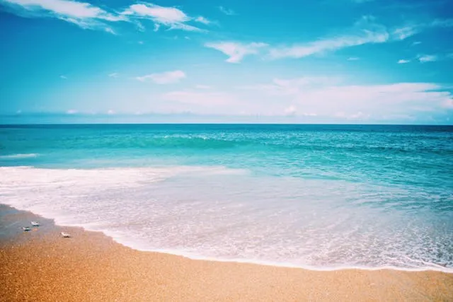 Squeaky Beach Victoria: A Guide to the Whitest Sand in Australia - Travel Guide Image