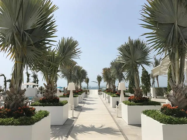 Discover the Best Things to Do in Dubai: Unforgettable Fun Awaits! - Travel Guide Image