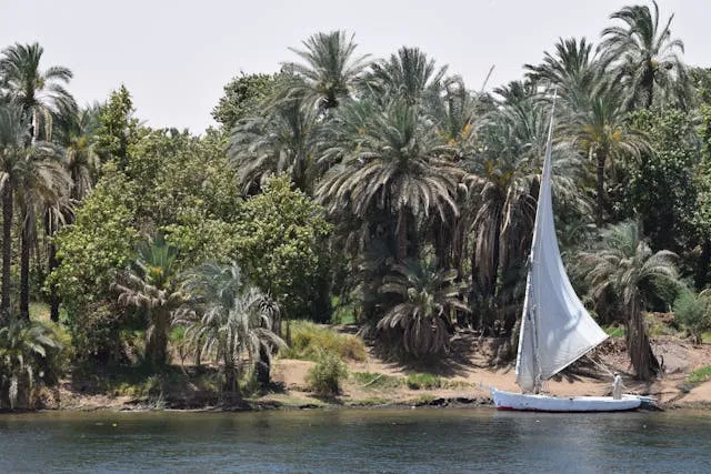 Beyond the Pyramids: 15 Incredible Things to Do in Egypt - Travel Guide Image