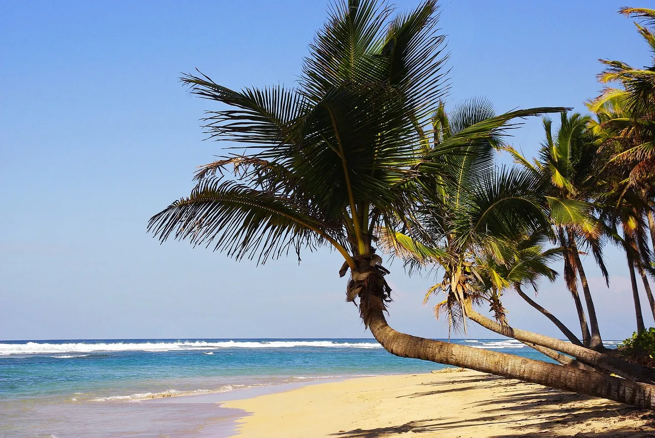 Exploring the Best Things to Do in Punta Cana