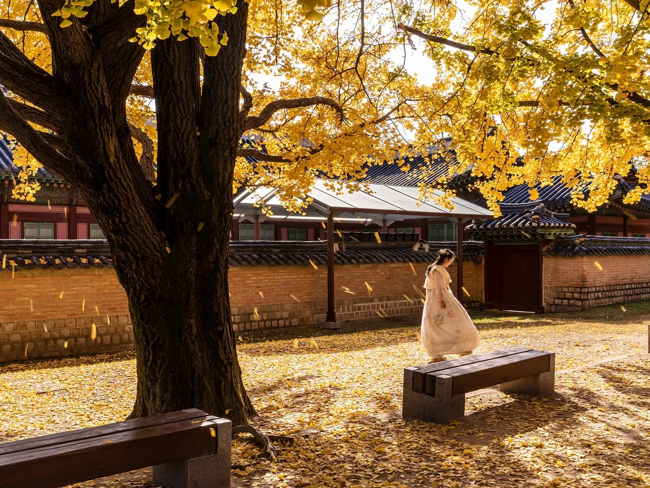 Exploring the Best Things to Do in Seoul
