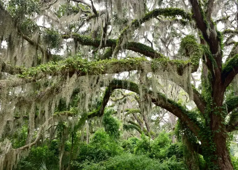 Top 20 Hilton Head Activities: Ultimate Vacation Guide