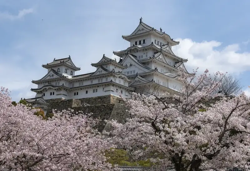 Travel Guide Image