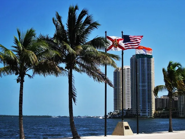 Sun, Sand, and Soccer: Your Miami World Cup 2026 Fan & Beach Guide - Travel Guide Image