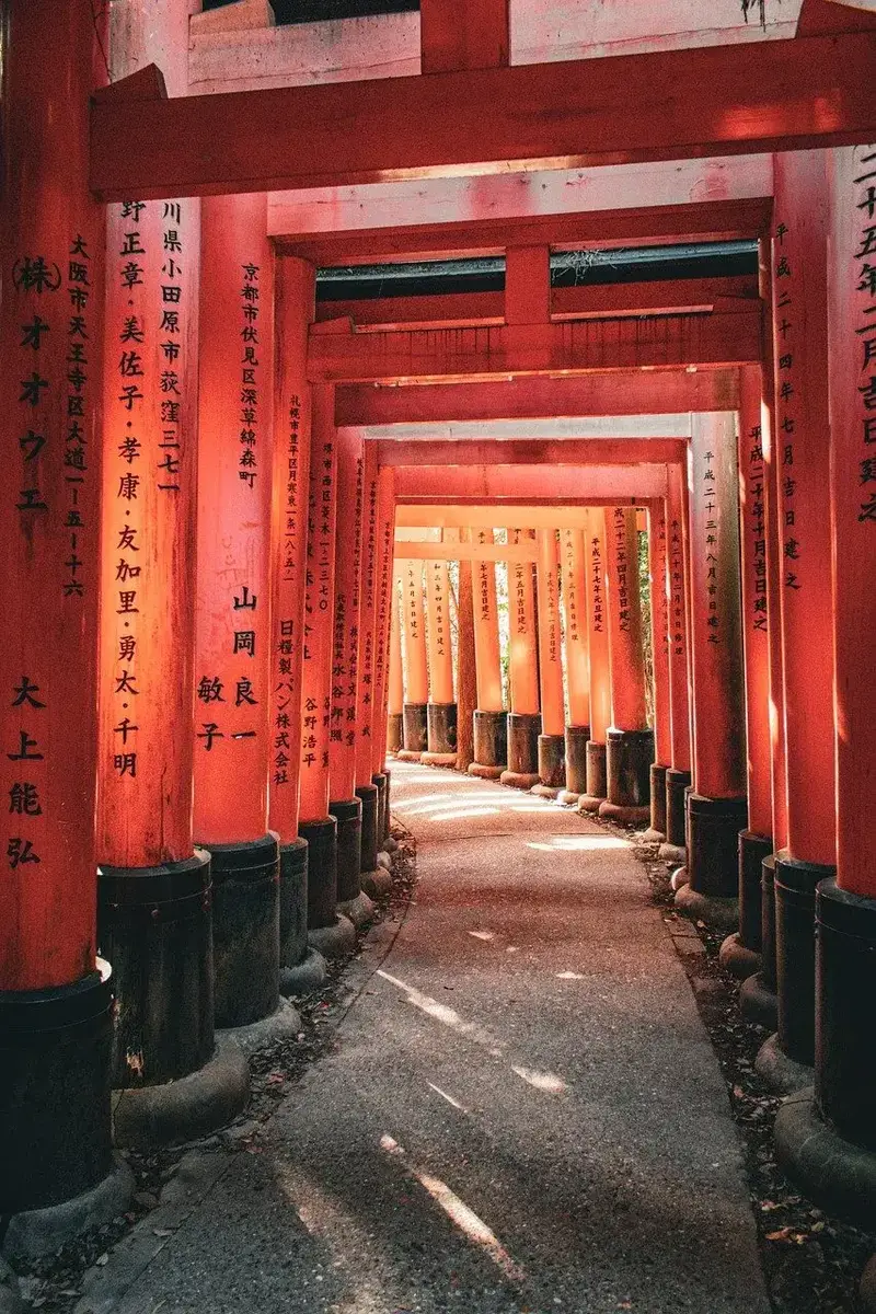 Magical Places to Go in Kyoto: Temples & Shrin