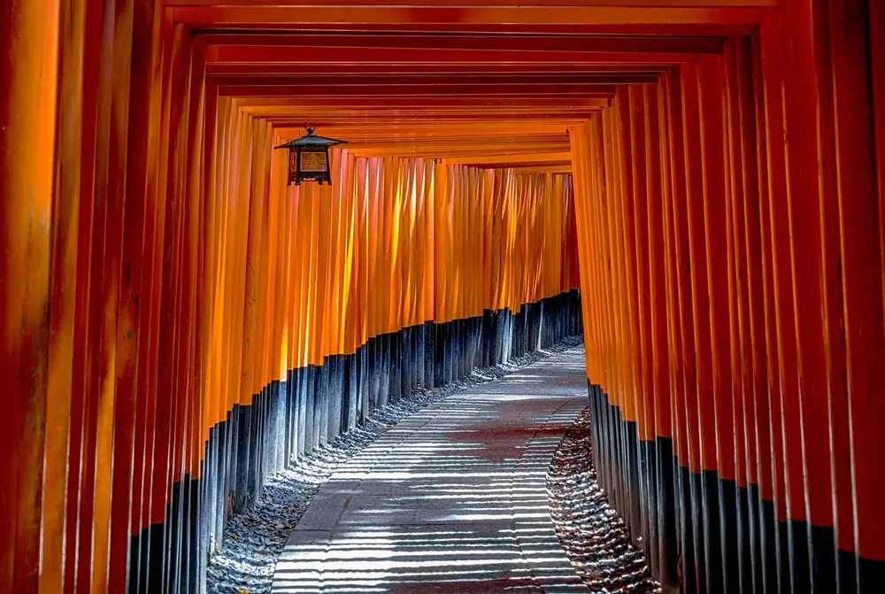 places-to-go-in-kyoto attraction