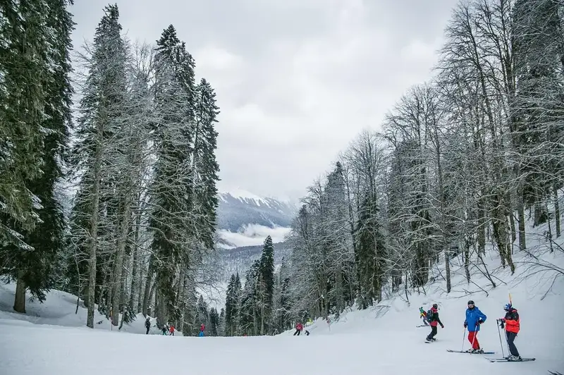 Best Georgia Ski Areas for Your Winter Getaway