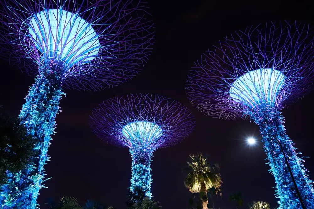 Art in Nature: Exploring TeamLab Botanical Garden